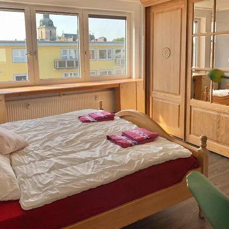 Vivi Wolfenbüttel